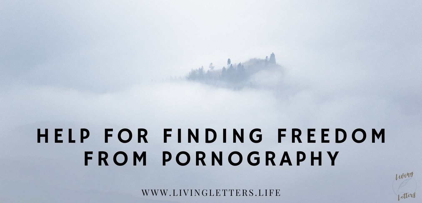 Help for Finding Freedom from Pornography